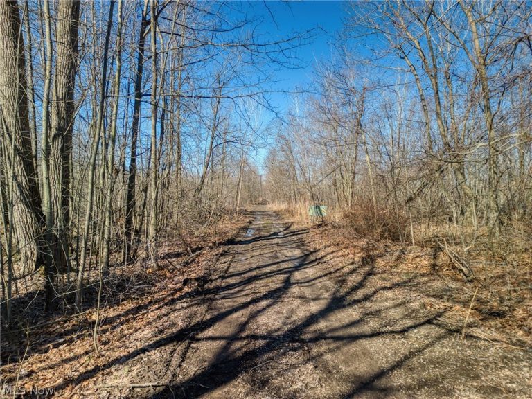 County Line Road, Madison, OH - Photo 5