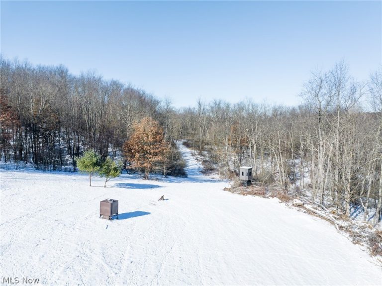 Avon Road, Carrollton, OH, 44615