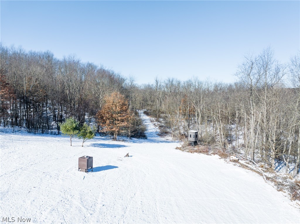 Avon Road, Carrollton, OH