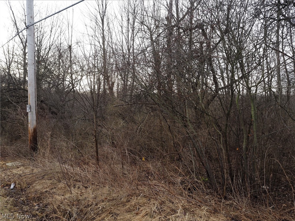 V/L 2 Bartholomew Road, Chagrin Falls, OH