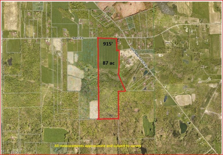 Parcel C Nash Road, Middlefield, OH - Photo 2