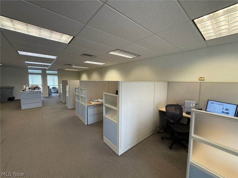 31320 Solon Road #19, Solon, OH - Photo 6