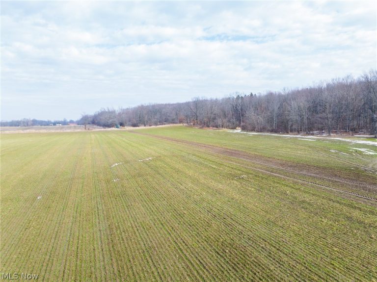 7389 Doylestown Road, Sterling, OH - Photo 6