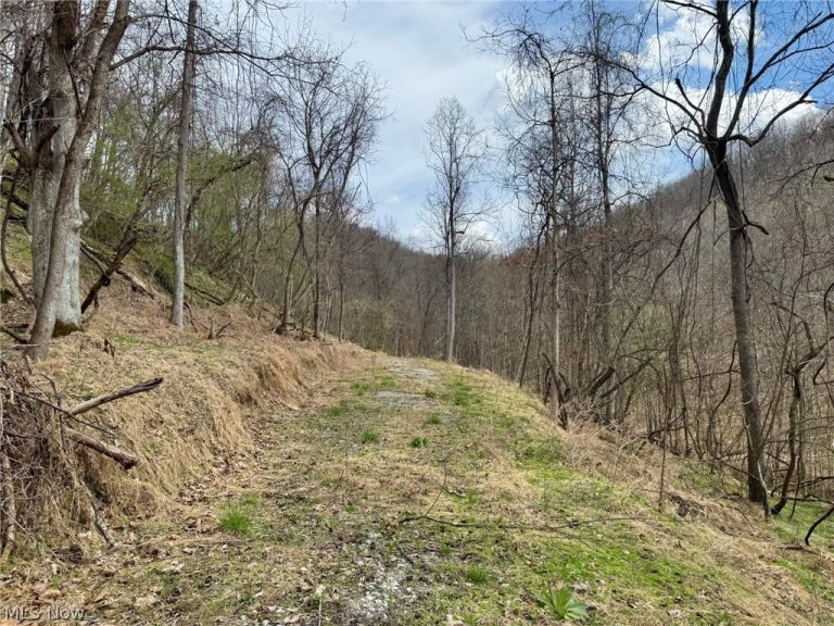 1536 Jakes Fork Road, Arnoldsburg, WV - Photo 6