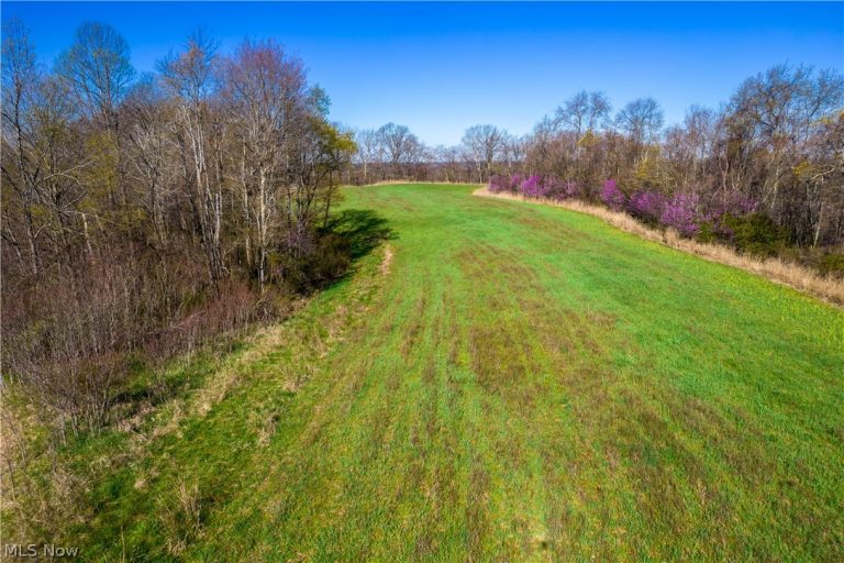Sealover Hollow Rd Road, Philo, OH - Photo 2