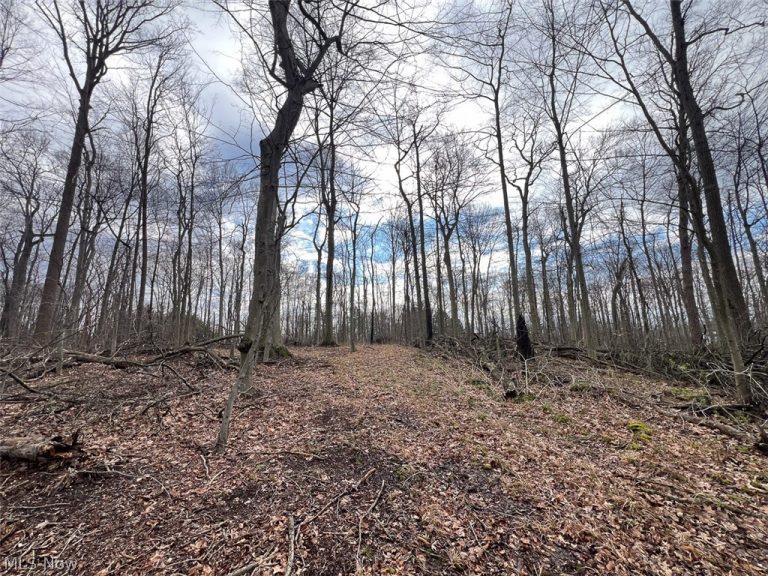 Schubert Avenue, Alliance, OH - Photo 3