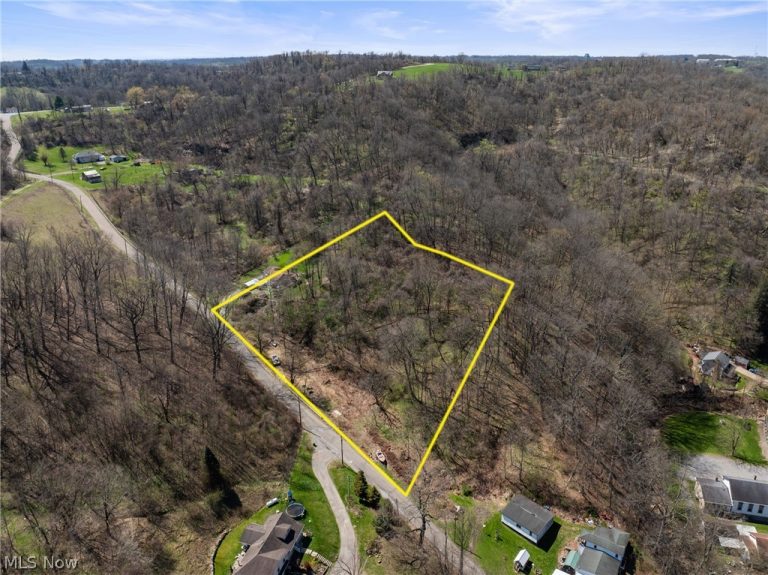 115 Township Road 501, Mingo Junction, OH, 43938
