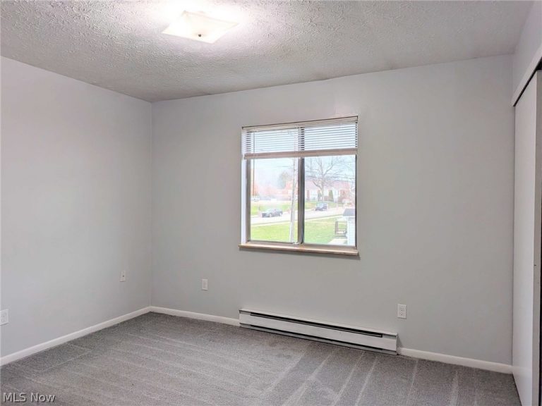 215 Grant Boulevard, Minerva, OH - Photo 6