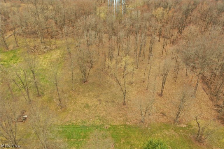 535 Bell, Columbiana, OH - Photo 3