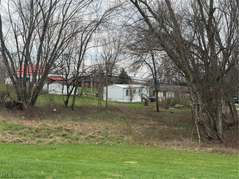 125 Chaplins Lane, Morristown, OH - Photo 4