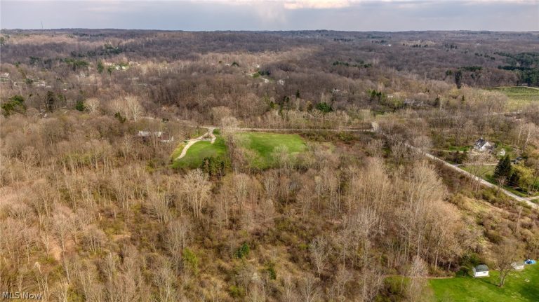 V/L Dewey Road, Kirtland, OH - Photo 6