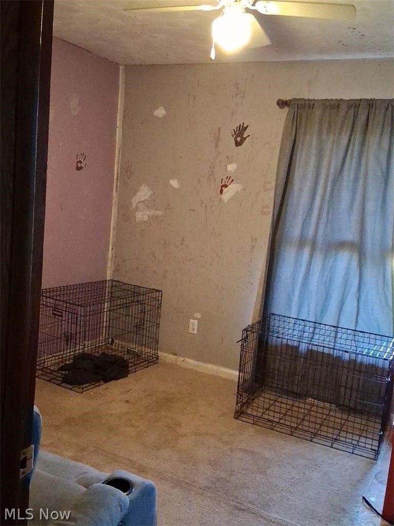 9918 Overton Road, Burbank, OH - Photo 8