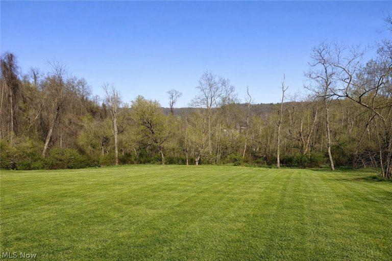 57585 Patty Mine Road, Martins Ferry, OH - Photo 6