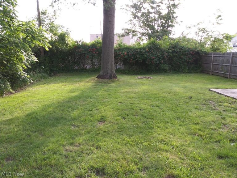 3916 Howard Street, Youngstown, OH - Photo 6