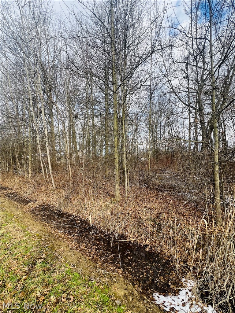 Lot 115 Breezewood Lane, Orwell, OH, 44076