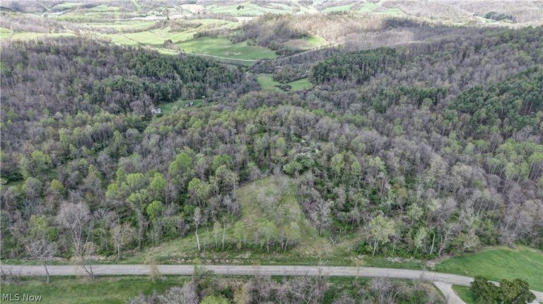 Deersville Ridge Road, Cadiz, OH - Photo 2