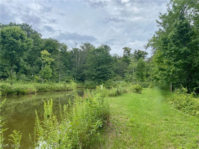 Fowlers Mill Road, Chardon, OH - Photo 6