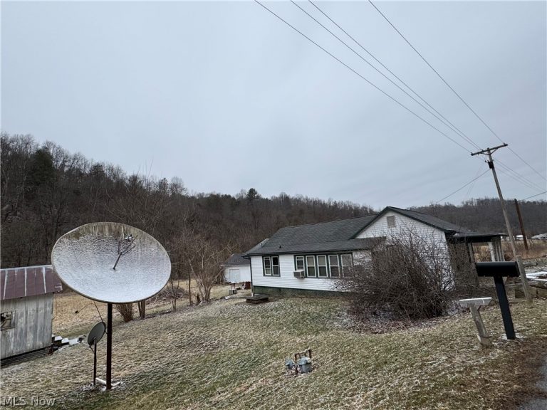 35515 State Route 800, Sardis, OH - Photo 4