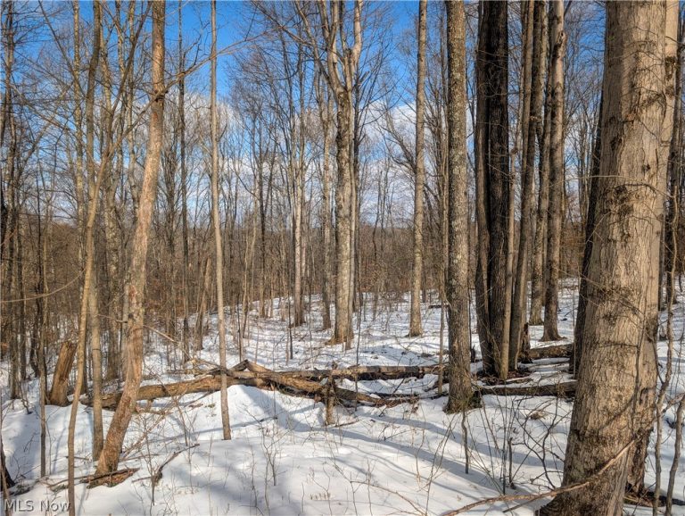 0 Tract 13 Ayers Ridge, Lower Salem, OH - Photo 4