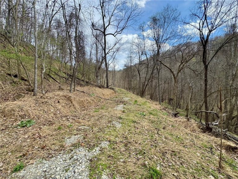 1536 Jakes Fork Road, Arnoldsburg, WV - Photo 5