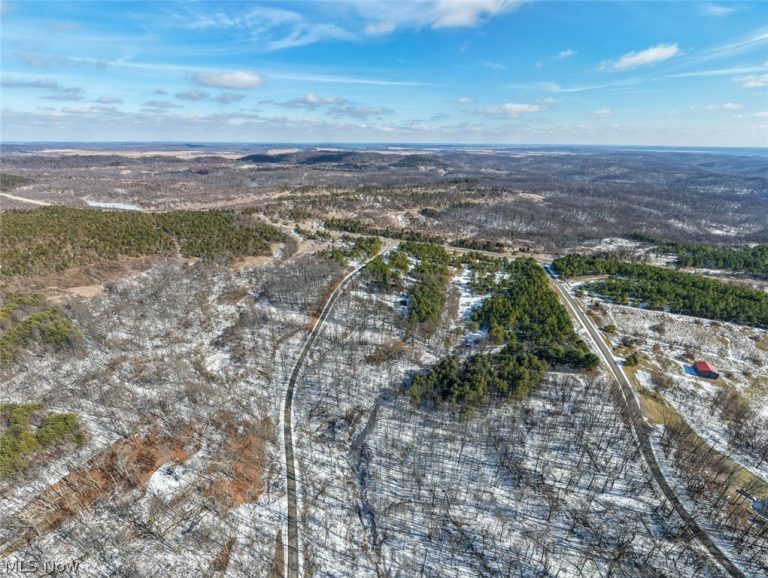 Blue Rock Church Road, Chandlersville, OH - Photo 2