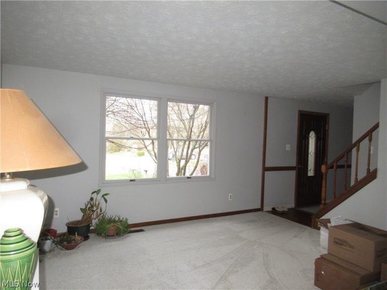 6919 Kirk Road, Canfield, OH - Photo 4