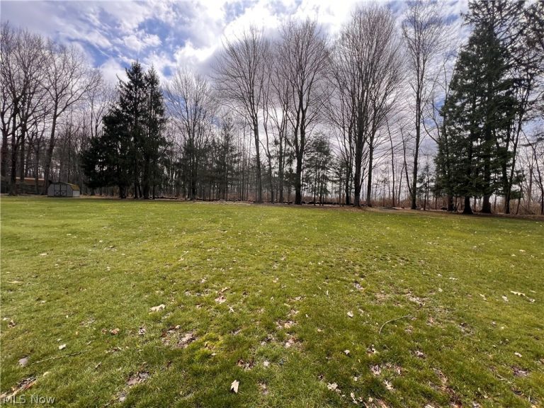 49231 England Drive, East Palestine, OH - Photo 6
