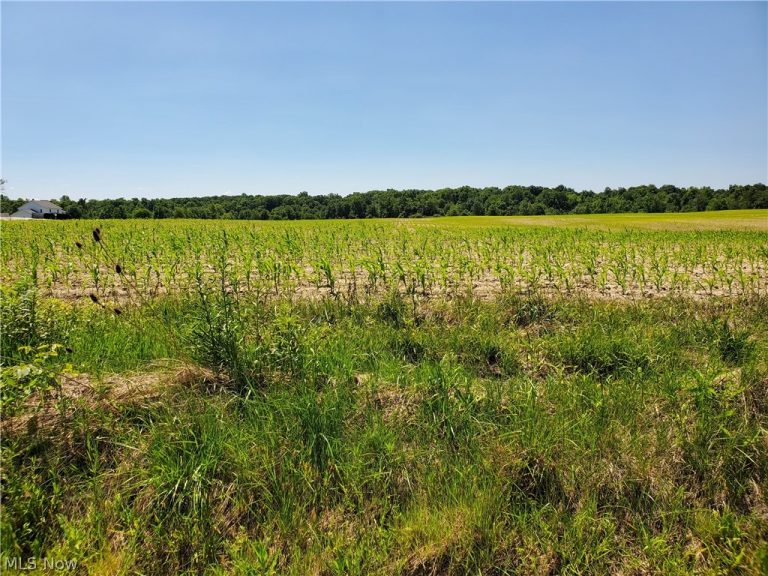 Parcel C Nash Road, Middlefield, OH, 44062