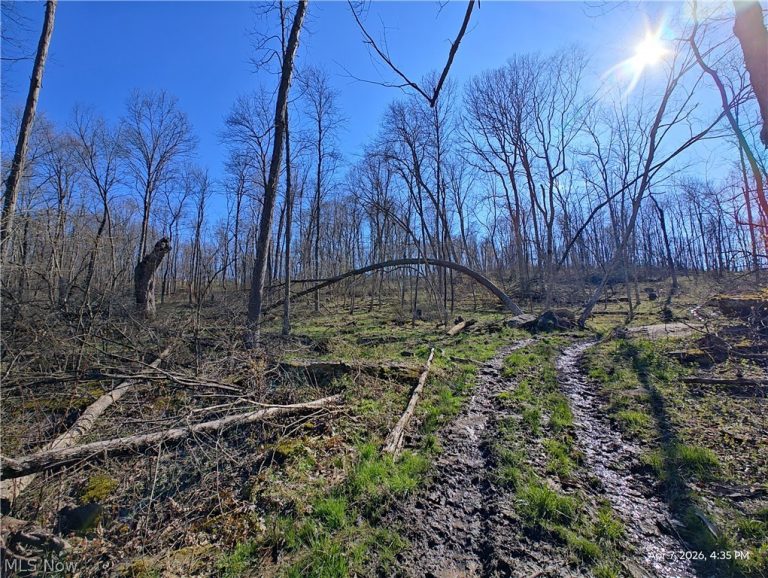 1852 Laramie Road, Carrollton, OH - Photo 8
