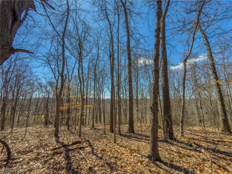 Stoneburner Road, Crooksville, OH - Photo 5