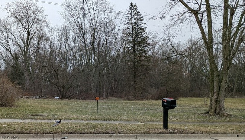 1653 Mohawk Drive, Akron, OH