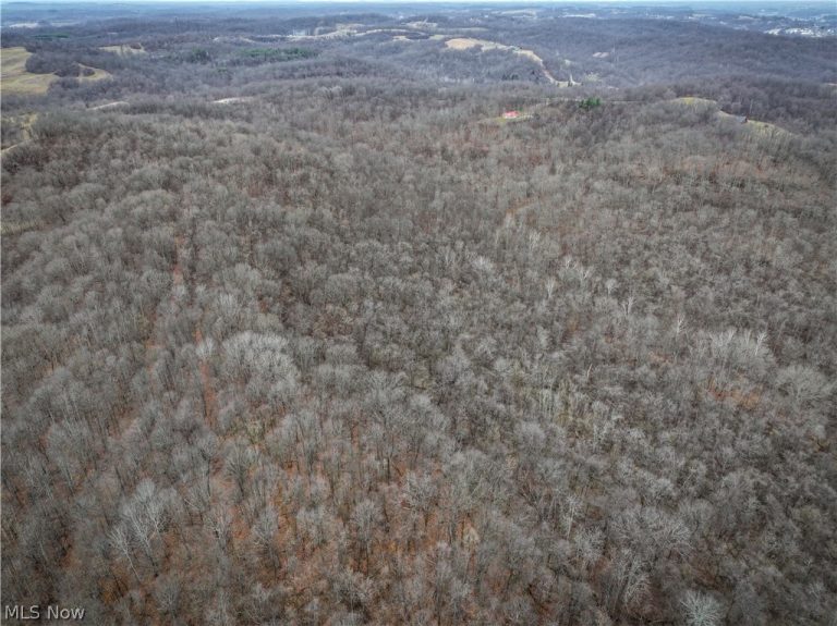 0 Tract 14 CR 7 Rear, Caldwell, OH - Photo 3