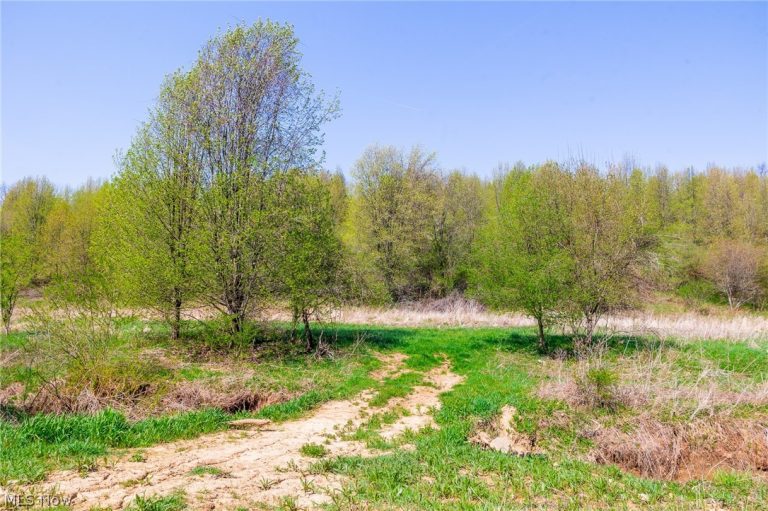 245 Liberty Road, New Concord, OH - Photo 8