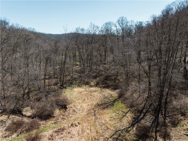 Township Road 34, Killbuck, OH - Photo 2