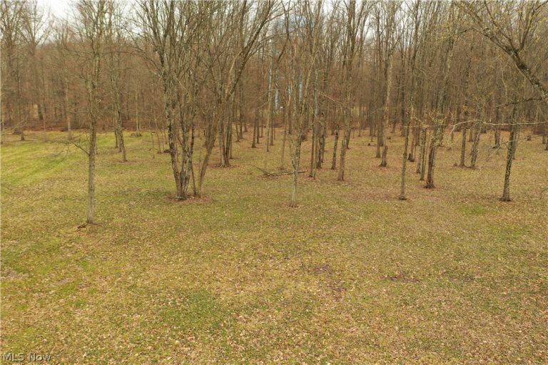 535 Bell, Columbiana, OH - Photo 8