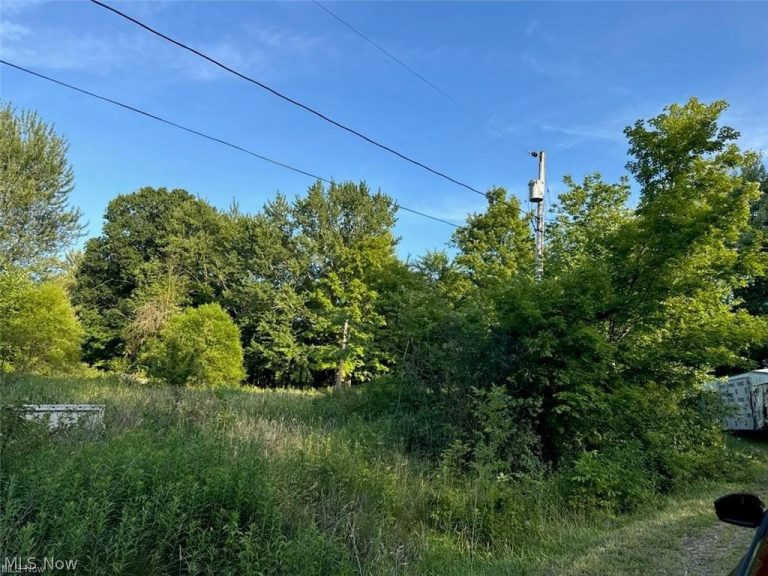 7425 Lisa Lane, Lisbon, OH - Photo 4