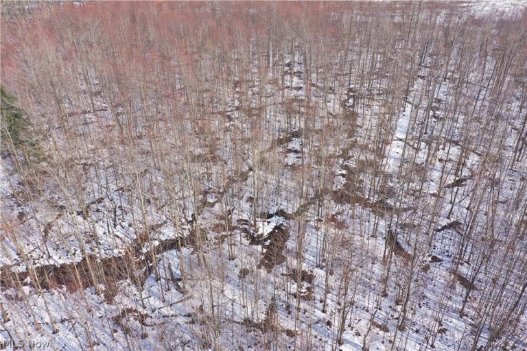Adams Road, Kingsville, OH - Photo 6