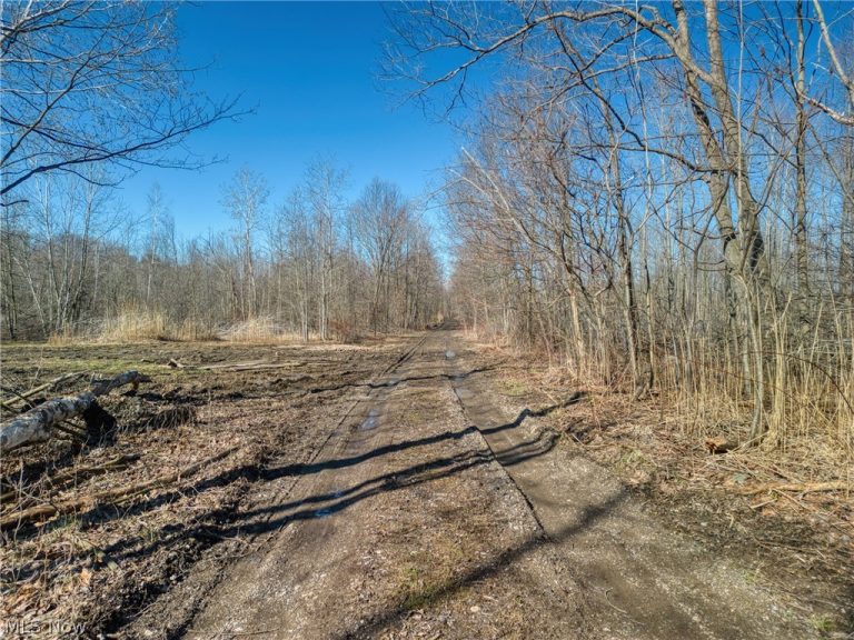 County Line Road, Madison, OH - Photo 6