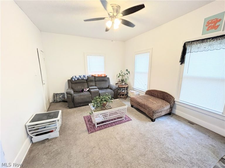 254 Eagle Street, Geneva, OH - Photo 8