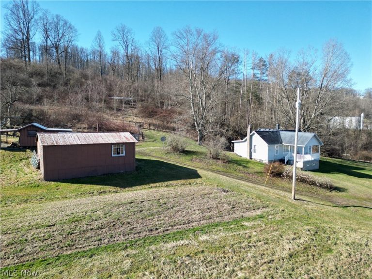 31785 PIEDMONT-FREEPORT Road, Freeport, OH - Photo 8