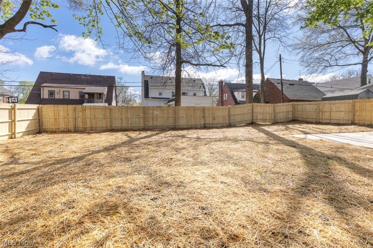 593 Mineola Avenue, Akron, OH - Photo 4