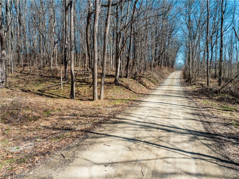 Burrier Road, Jewett, OH - Photo 6