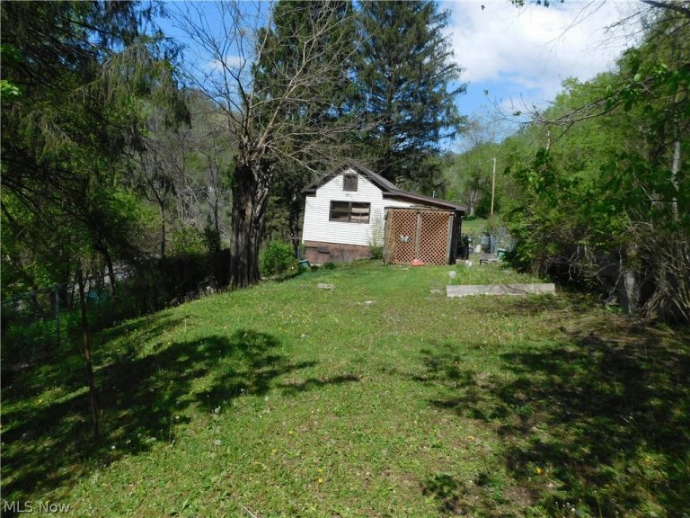 68250 Wrixon Road, Bridgeport, OH - Photo 6