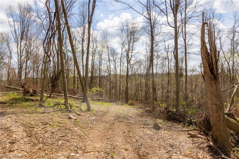 105 Hanley Road, Mansfield, OH - Photo 8