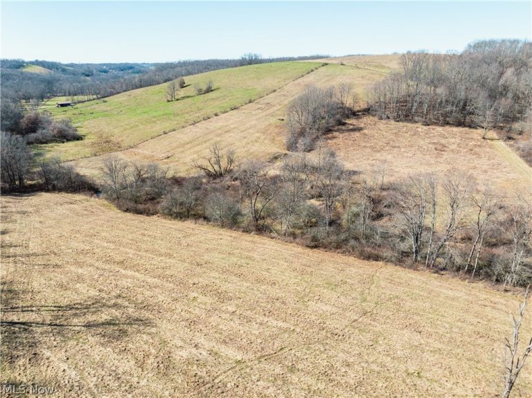 Eckley Road, Jewett, OH - Photo 4