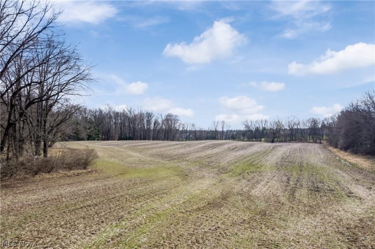 2348 Turkeyfoot Lake Road, Akron, OH - Photo 5