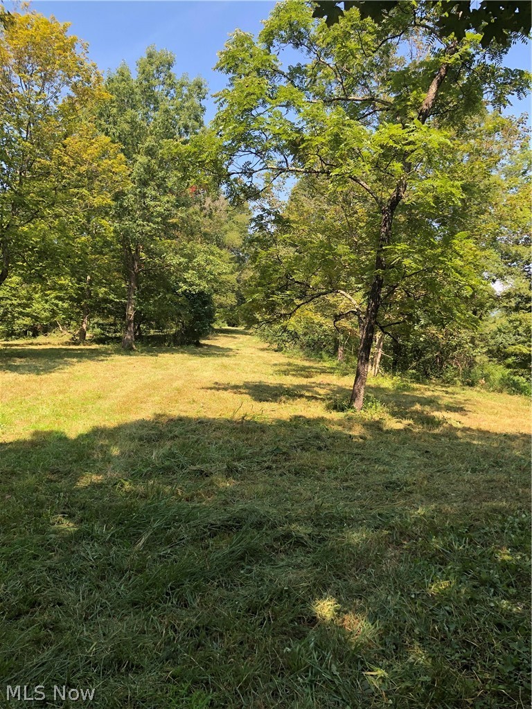 1475 St Rte 124, Coolville, OH - Photo 4