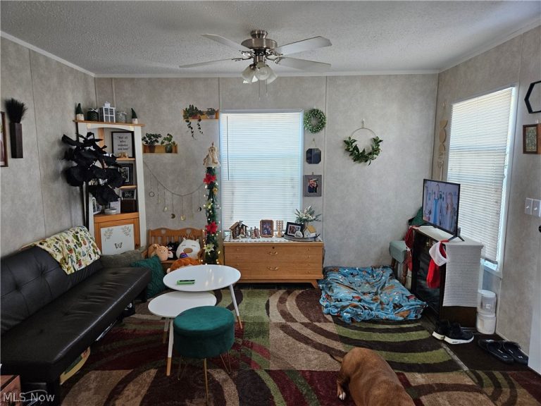 81 Hyland Drive, Akron, OH - Photo 6