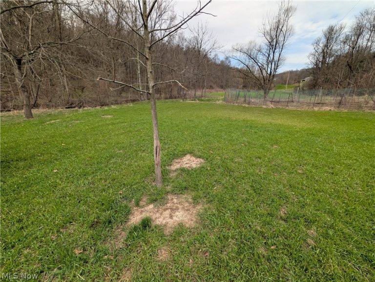 39000 Lees Run Road, Cadiz, OH - Photo 5