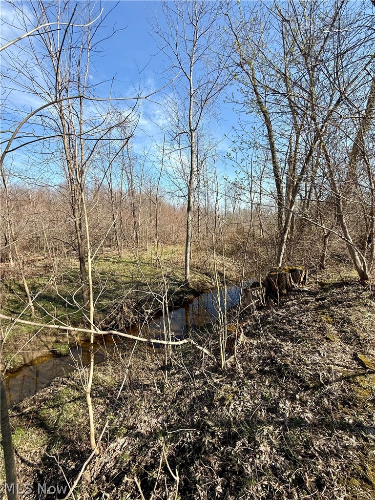 515 Middle Road, Conneaut, OH - Photo 8